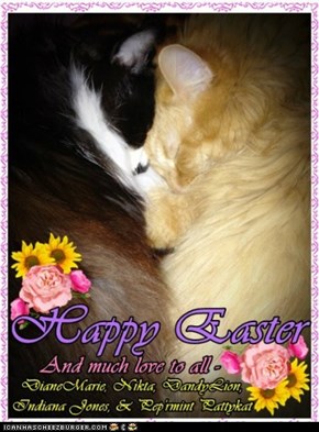 Sending Warm 'N Floofy Wishes to Everyone this Easter.