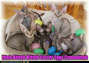 Itteh Bitteh Kitteh Easter Eggz Committeh