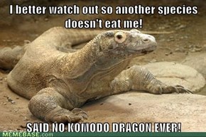 You Don't Know 'Bout Komodo!