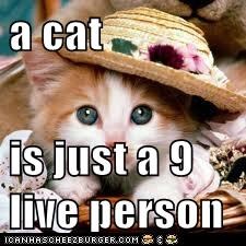 a cat  is just a 9 live person