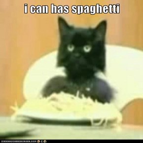 i can has spaghetti