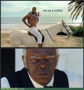 Why's He On That Horse