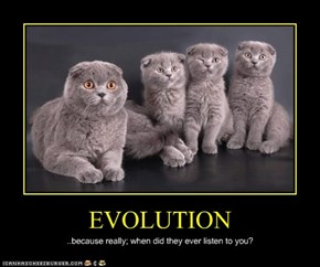 EVOLUTION