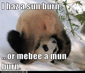 I haz a sun burn,  ...or mebee a mun burn.