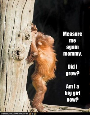 Measure me again mommy.    Did I grow?    Am I a big girl now?