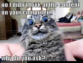 no I didn't look at the content on your computer...  why do you ask?