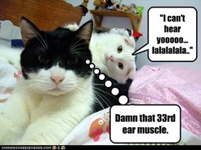 "I can't hear yooooo... lalalalala.."