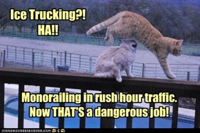 Specially on your elevated tracks!