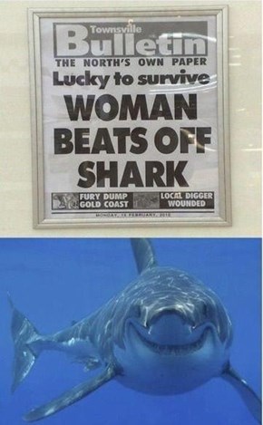 Shark Loved It
