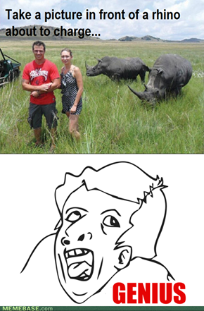 Because Rhinos don't kill people...