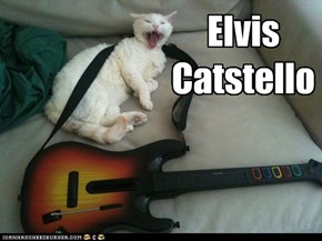 Elvis Catstello