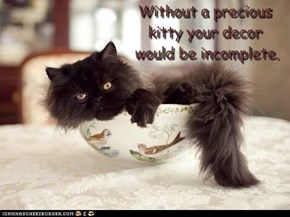 Without a precious  kitty your decor  would be incomplete.