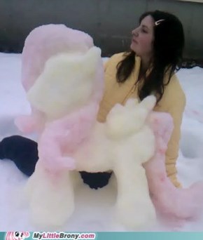 A Fluttershy snowpony! ^_^