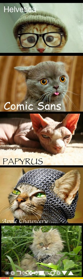 Five Cats & the Fonts They Represent