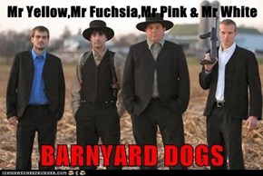 Mr Yellow,Mr Fuchsia,Mr Pink & Mr White