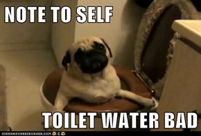 NOTE TO SELF  TOILET WATER BAD