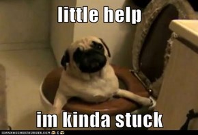 little help  im kinda stuck