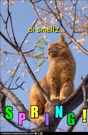 yep, ai smellz it alryte!!