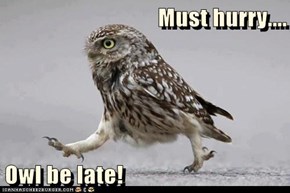 Must Hurry!
