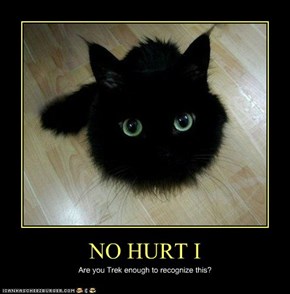 NO HURT I