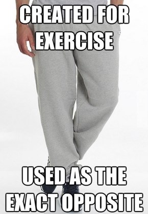 They're Comfy!