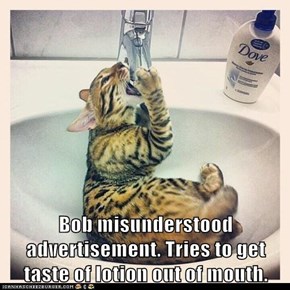 Bob Misunderstood