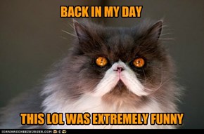 Don't Question Grampy Cat's Memory