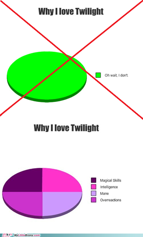 Bronies Love Twilight (Sparkle)