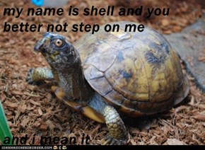 my name is shell and you better not step on me  and i mean it