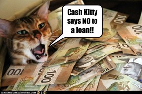 Cash Kitty says NO to a loan!!