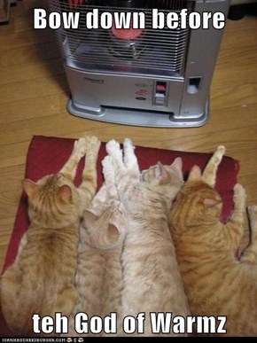 Bow Down Before  teh God of Warmz