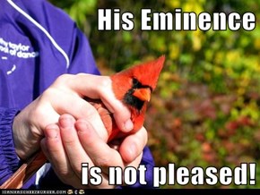 His Eminence  is not pleased!