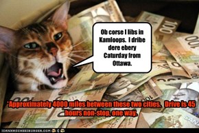 Canadian Senator Cat