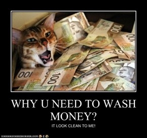 WHY U NEED TO WASH MONEY?