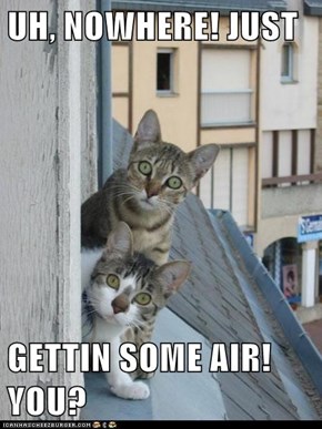 UH, NOWHERE! JUST  GETTIN SOME AIR! YOU?