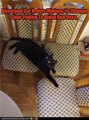 Basement Cat Orders Minions To Change Chair Pading To Blood Red Ones.