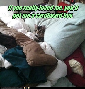 I Mean, This Bed is NICE and All...