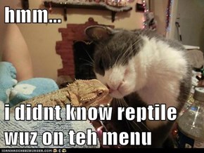 hmm...  i didnt know reptile wuz on teh menu