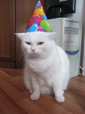 Yeah, Real Happy Birthday