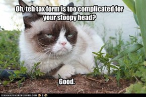 Grumpy Cat's favorite season: tax time.