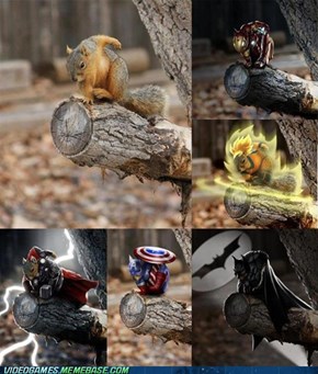 This Squirrel is Badass