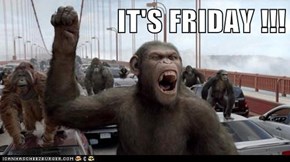 IT'S FRIDAY !!!