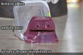 ditto real life and it copys  jello really pushing it there