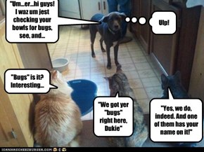"Um...er...hi guys! I waz um jest checking your bowls for bugs, see, and...