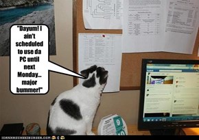 "Dayum! I ain't scheduled to use da PC until next Monday... major bummer!"