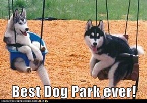 Best Dog Park ever!