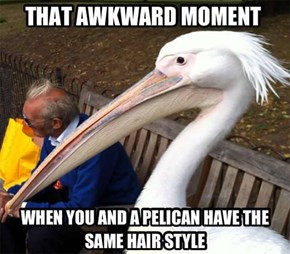 That Awkward Moment...