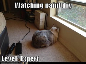Watching Paint Dry