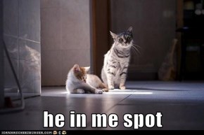 he in me spot