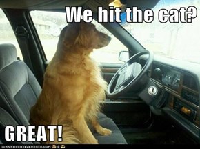We hit the cat?  GREAT!